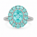 Paraiba Flower — Ministry of Gems exclusive design