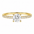 Solitaire & Pavé Crown Ring — Ministry of Gems