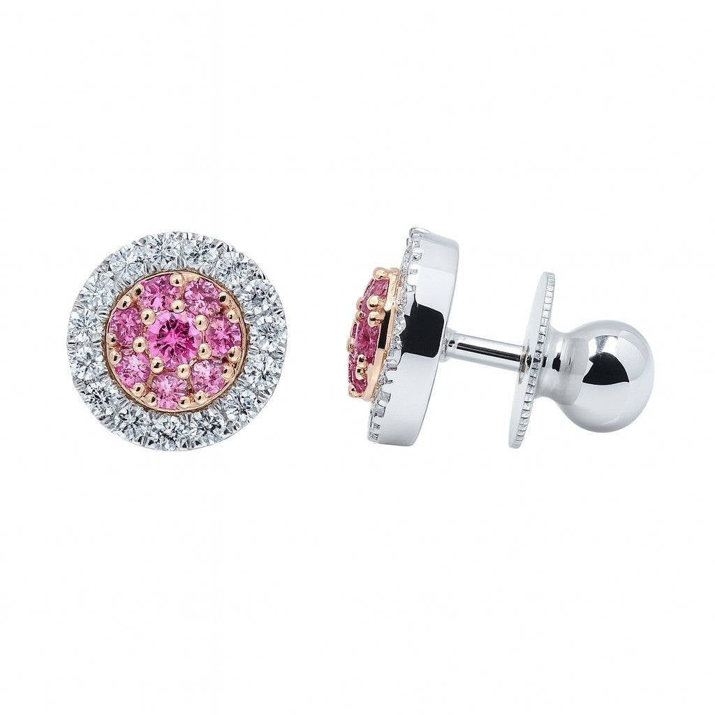 Pink Sapphire Double-Halo Studs — Ministry of Gems
