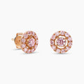 Diamond Studs — Ministry of Gems exclusive design