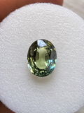 Green-Yellow Australian Sapphire 2.44ct Oval